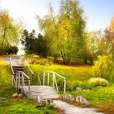 Carmina Villarroel's profile picture